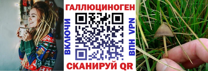 Галлюциногенные грибы Cubensis  darknet Telegram  Мончегорск  где найти наркотики 