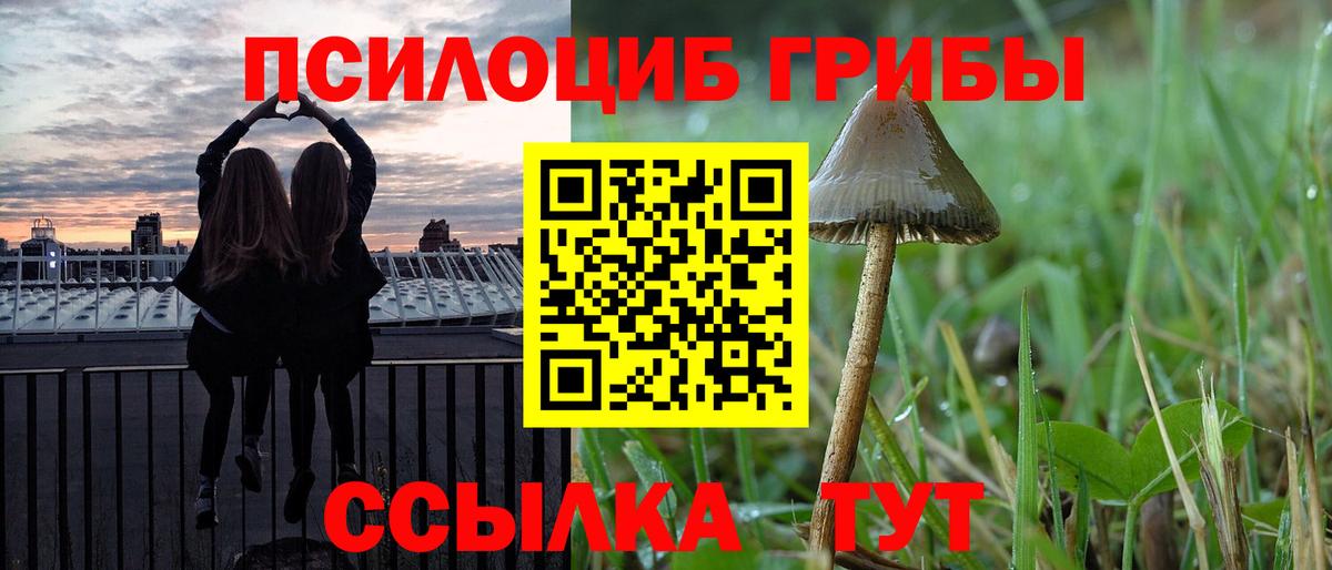 Псилоцибиновые грибы мухоморы Мончегорск