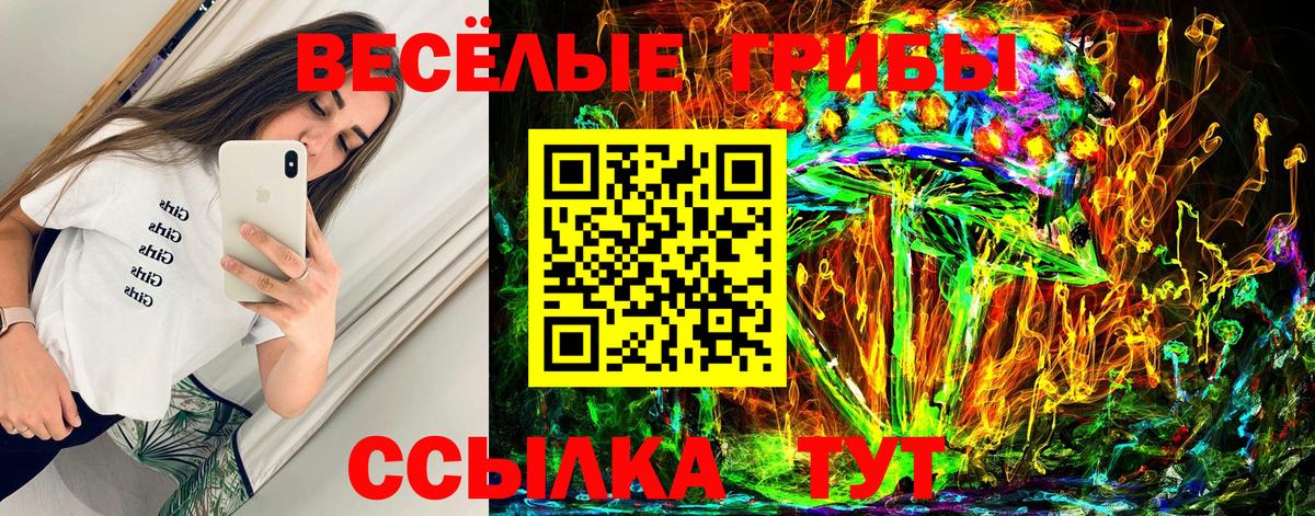 Псилоцибиновые грибы GOLDEN TEACHER  Вход с VPN  купить наркотики сайты  Мончегорск 